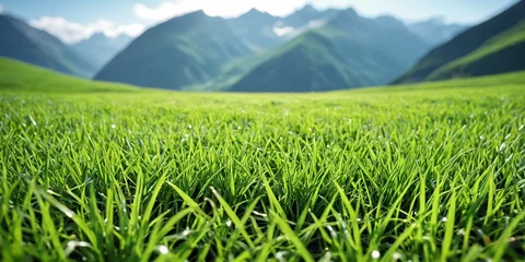 Cercles muraux Destinations Green alpine meadows against the backdrop of mountains. Lawn in the mountains. Background of green grass in wild nature