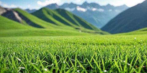 Green alpine meadows against the backdrop of mountains. Lawn in the mountains. Background of green grass in wild nature