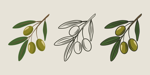 Flat Vector Olive Branch with Green Olives Set. Cartoon Hand Drawn Olive Tree Branch with Outline
