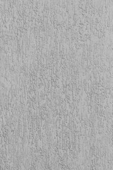 Grey rough wall plaster bark beetle hard surface stucco texture background solid gray structure