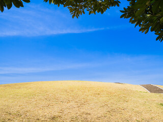 青空と早春の丘