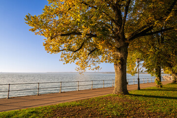 Fall at the Lake of Constanze - Bodensee - at City of Bregenz, State of Vorarlberg, Austria