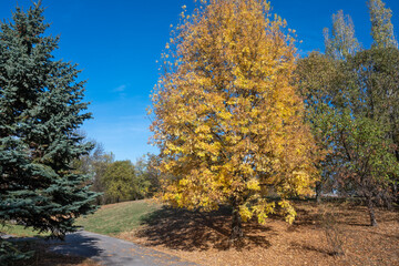 Autumn view of South Park in city of Sofia, Bulgaria