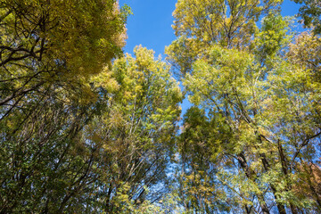 Autumn view of South Park in city of Sofia, Bulgaria