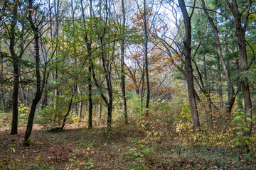 Autumn view of South Park in city of Sofia, Bulgaria