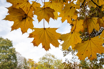 Autumn view of South Park in city of Sofia, Bulgaria