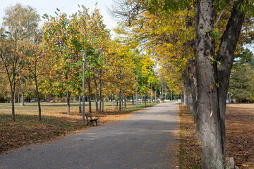 Naklejka premium Autumn view of South Park in city of Sofia, Bulgaria
