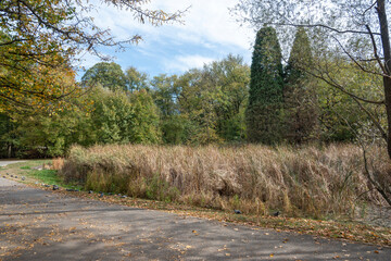 Autumn view of South Park in city of Sofia, Bulgaria