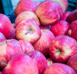 Apples at the market display stall