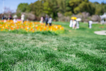 Blurred dreamy background of spring outing in the park