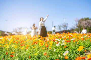 Changsha Garden Ecological Garden Poppy Garden