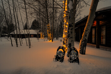 Snowshoes waiting for another day; Grand Teton NP; Wyoming