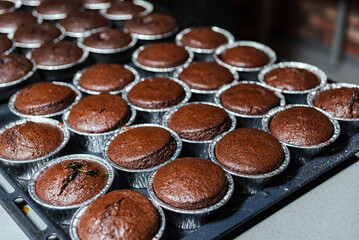 Freshly Baked Chocolate Muffins in Rows. Rows of freshly baked chocolate muffins cooling on a tray, with a rich brown color and a cracked top texture.