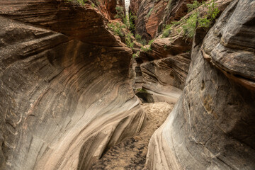Sandy Bottom of Echo Canyon in Zion