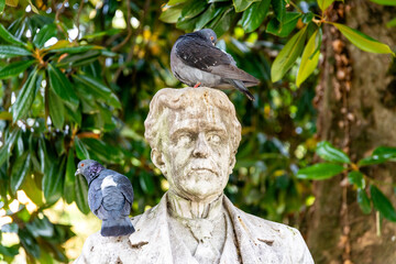 Birds Perching on Sculpted Bust in Salvi Garden, Vicenza