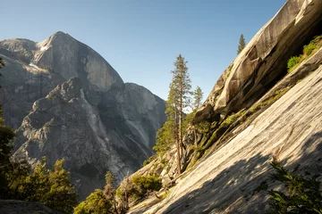 Papier Peint photo autocollant Half Dome Small Pines Grow From The Sun Covered Granite Below Half Dome