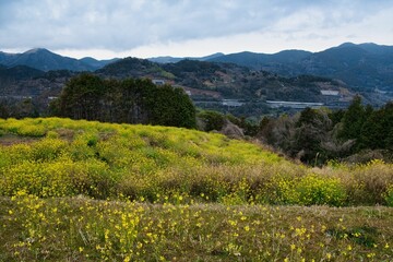 神奈川県山北町の河村城の風景