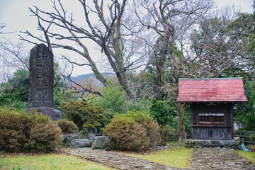 神奈川県山北町の河村城の風景