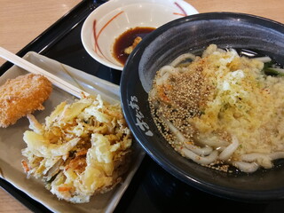 Udon with vegetable tempura in New Chitose Airport, Japan, 27 March 2024