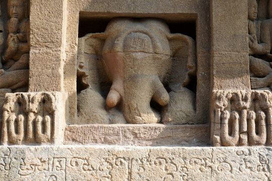 Elephant statue in ancient temple. Sandstone carving of animal sculpture with ancient Tamil inscription at the wall in Kanchi Kailasanathar temple in Kanchipuram, Tamilnadu.
