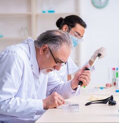 Two chemists working in the lab