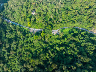 Aerial view Drone camera top view rainforest trees ecology with healthy environment concept and summer background