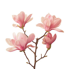 Pink blossoms contrast beautifully with the transparent background
