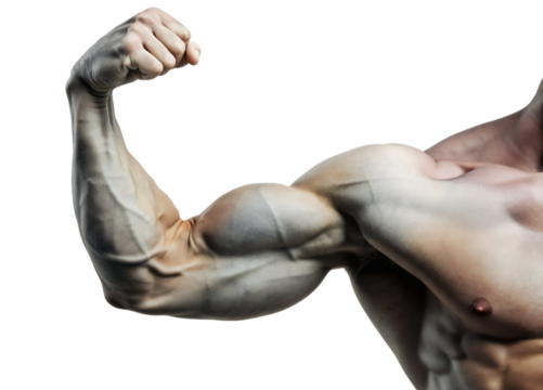 Muscular Portrait: Strong, with Powerful Arms