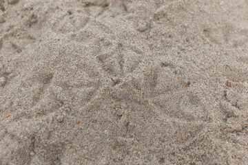 Fototapeta na wymiar Paw prints of birds seagulls on beach sand pattern top view close up