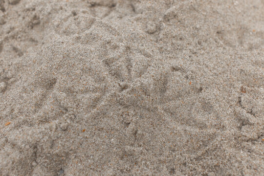 Paw prints of birds seagulls on beach sand pattern top view close up
