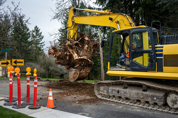 Excavator jawbone bucket picking up large tree stump, road construction project

