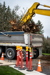 Excavator jawbone bucket picking up large tree stump and putting it in a dump truck for removal, road construction project  © knelson20