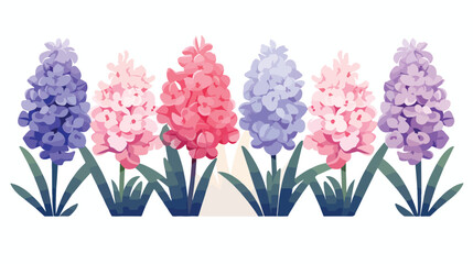 Vector abstract hyacinths on white background flat