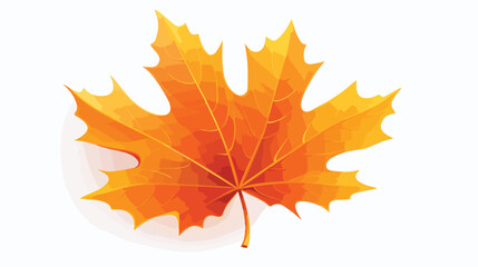 Vector autumn maple leaf isolated on white backgrou