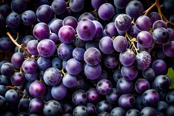 The intricate patterns and vibrant purple color of a bunch of Concord grapes.