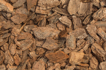 Small decorative pieces of dry tree bark brown color natural background texture nature