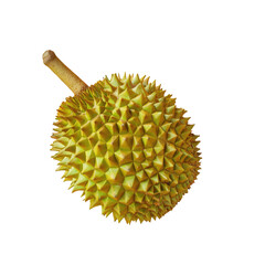 Closeup of durian fruit in macro photography on transparent background