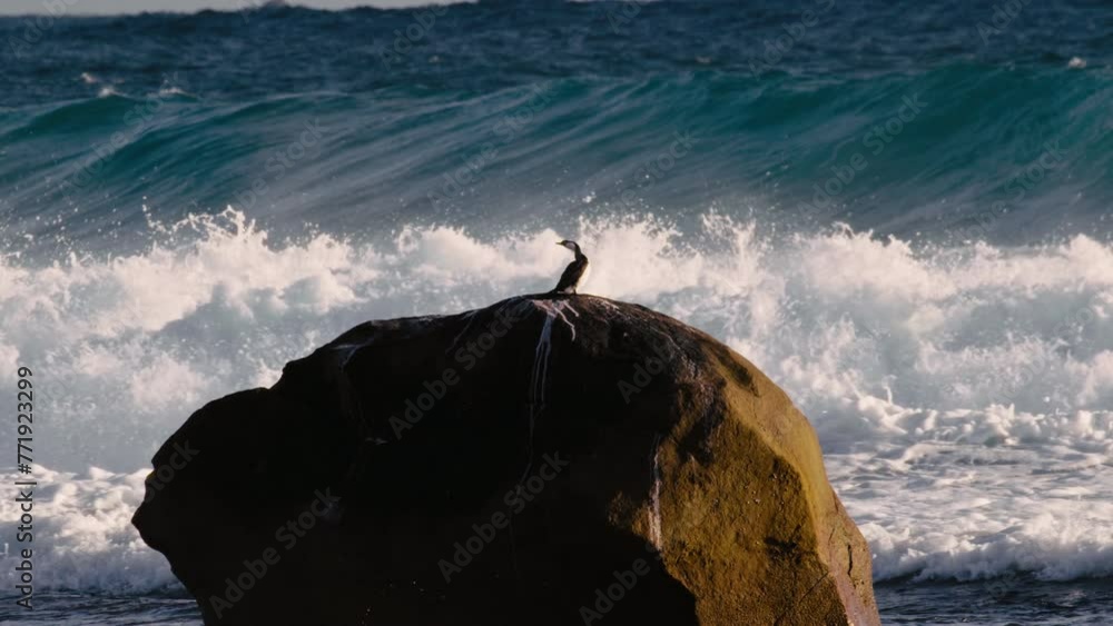 Poster a bird perches on a rocky surface as a wave crashes in the background, creating a striking contrast 