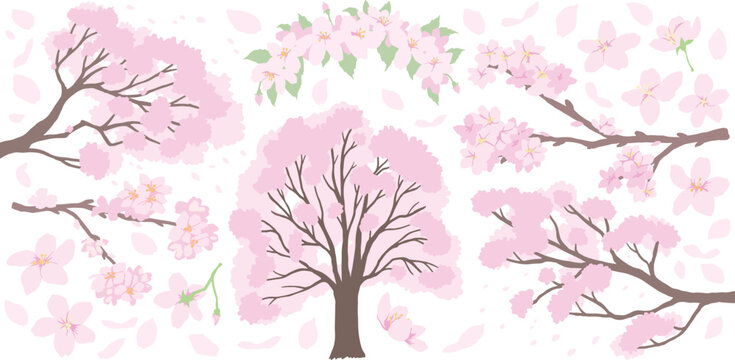 Set of Cherry blossom flower, tree, branch, clip art