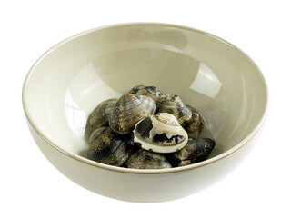 【PNG透過】ボウルに入れた春の味覚　獲れたて新鮮な浅利の貝