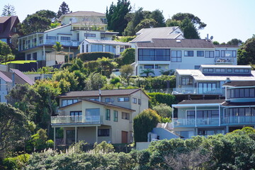 A hillside covered in houses in Auckland, New Zealand