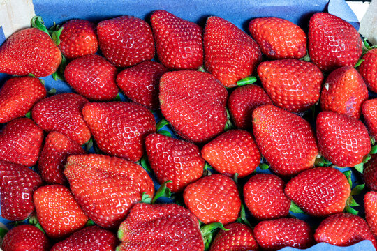 Box of juicy seasonal strawberries.