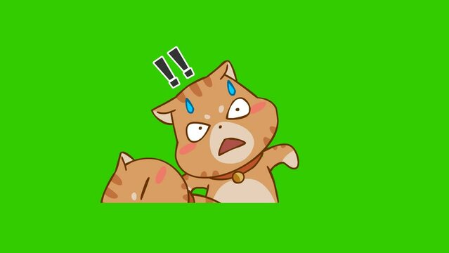 Appalled animation, Cute cat on green screen