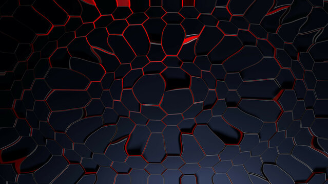 spider on a black background