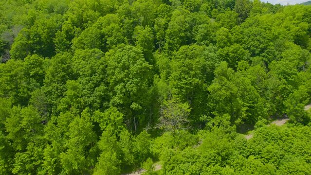 Flying past a hill side forest to reveal a quiet farm. Shot during the middle of summer.