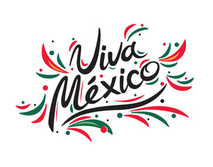 Fototapeta na wymiar Mexican vector banner layout design. Viva Mexico holiday, vector illustration.
