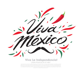 Mexican vector banner layout design. Viva Mexico holiday, vector illustration.