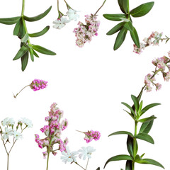 a transparent background with pink and white flowers and green leaves