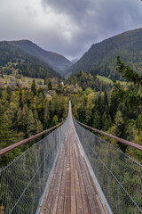 Obraz premium Hängebrücke über die Schlucht