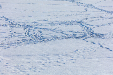 Traces of people on white snow as a background